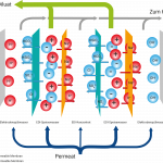 Grafik Elektrodeionisierung
